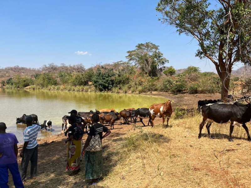 Ntambo Dam